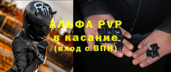 a pvp Новозыбков