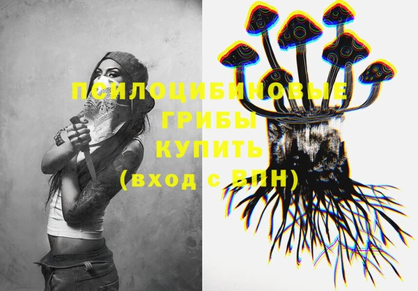 PSILOCYBIN Новодвинск