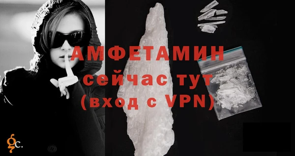 a pvp Новозыбков