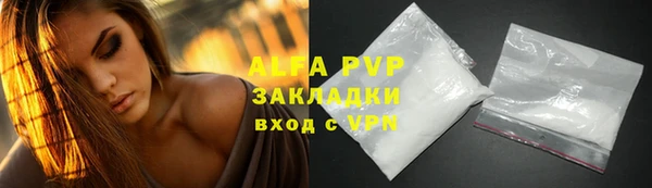 a pvp Новозыбков