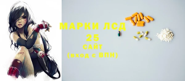 a pvp Новозыбков