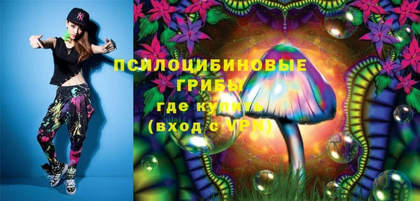 PSILOCYBIN Новодвинск
