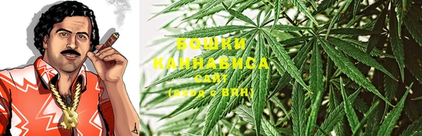 a pvp Новозыбков