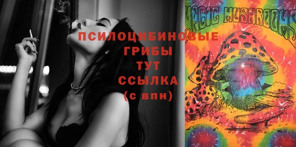 Альфа ПВП Гатчина