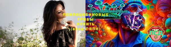 a pvp Новозыбков