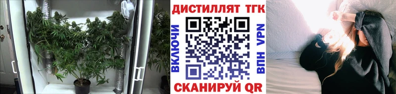 Дистиллят ТГК концентрат Сосновка